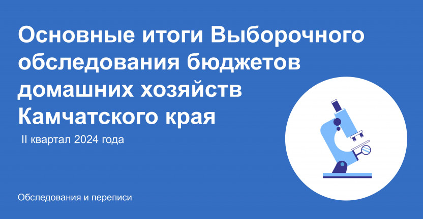 Основные итоги Выборочного обследования бюджетов домашних хозяйств Камчатского края за II квартал 2024 года